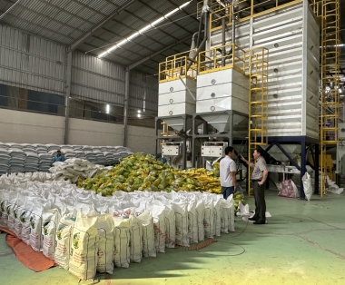 Thăm nhà máy Gạo Ông Cua - Gạo ngon nhất thế giới 2019&2023